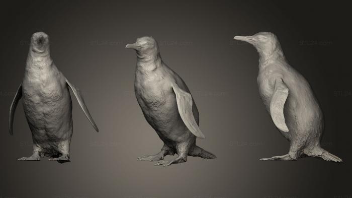 Bird figurines (Penguin, STKB_0119) 3D models for cnc